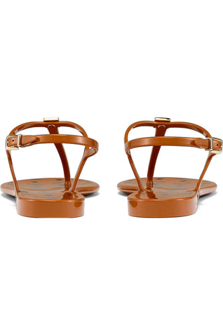 Viral Jelly Summer Collection