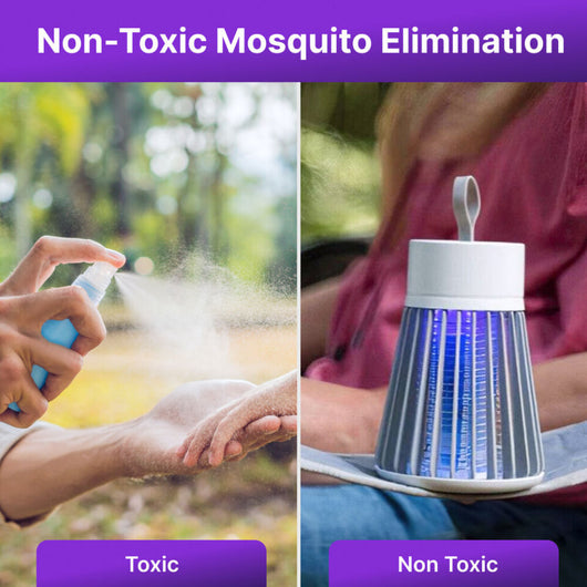 EVORA ZAP! - FLYING INSECT SOLUTION - 2026 EDITION