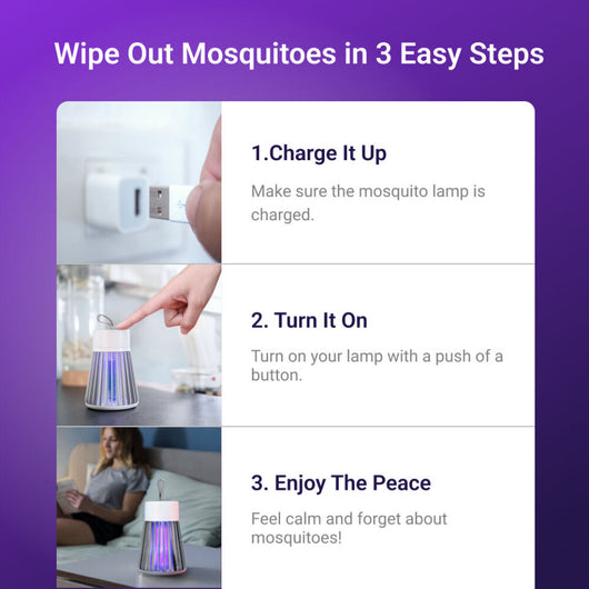 EVORA ZAP! - FLYING INSECT SOLUTION - 2026 EDITION